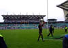 Twickenham_125-2571