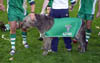 IrishWolfhound59_071104