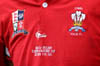 WelshShirt1-17-1004tp