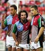 Harlequins1-8-607ps