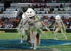 PNG-Warriors1-25-1008