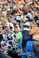 HullFC-Fans3-18-0514