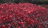 Tonga-Fans1-25-1117