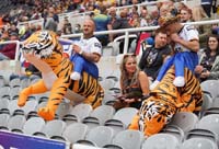 CastlefordFans001_040921