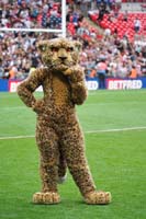 Leigh-Mascot84_120823