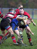 AllinsonDale-Isberg1-8-12