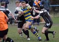 HoldsworthAdrian2-12-311