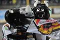 Mascots1-6-0412