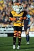 CastlefordMascot-29-309gc