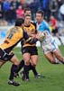 Snitch-Netherton1-25-109