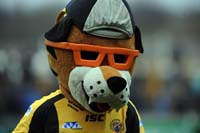 CastlefordMascot1-17-0313