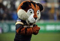 CastlefordMascot2-17-0313