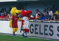 Catalans-Mascots1-16-0923