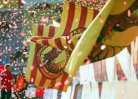 CatalansFlags1-13-0424j