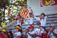 Catalans-Supporters13-28-0625