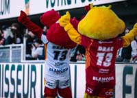 Catalans-Mascots1-21-0326
