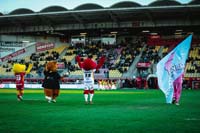 TeamsMascots1-21-0326