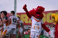 CatalansMascot-CelebratesTry3-2-0526