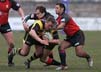 EllisCarle2-17-306tp