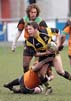 SimmDave3-16-306tp