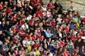 CrusadersFans1-1-511le
