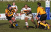 WilliamsShayne_113-1329