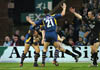 DonlanStuart1-16-404