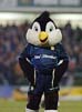 HullFC-Mascot1-16-207