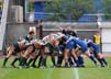 Scrummage1-4-509gc