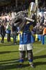 RonnieRhino1-5-1008