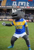 RonnieRhino3-24-0126