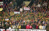 AustralianFans_906807