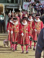 BeefEaters_934821