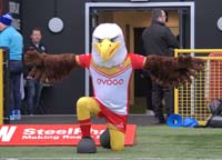 Sheffield-Mascot001_160225