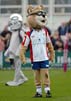 WakefieldMascot1-11-307