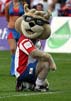 DaddyCool04_170807